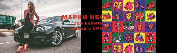 сатива Абинск