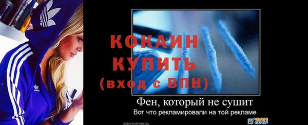 молекула духа Волоколамск