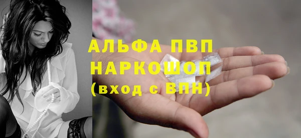 сатива Абинск