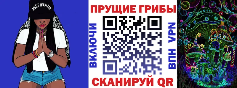 Галлюциногенные грибы мухоморы  даркнет наркотические препараты  Кинешма  закладка 